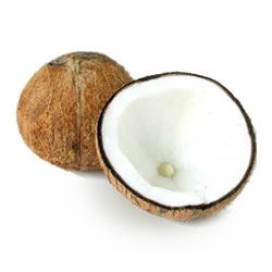 coconut oil for hair loss
