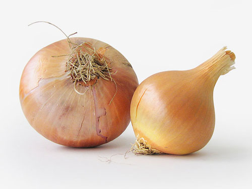 onion juice for hair loss reviews