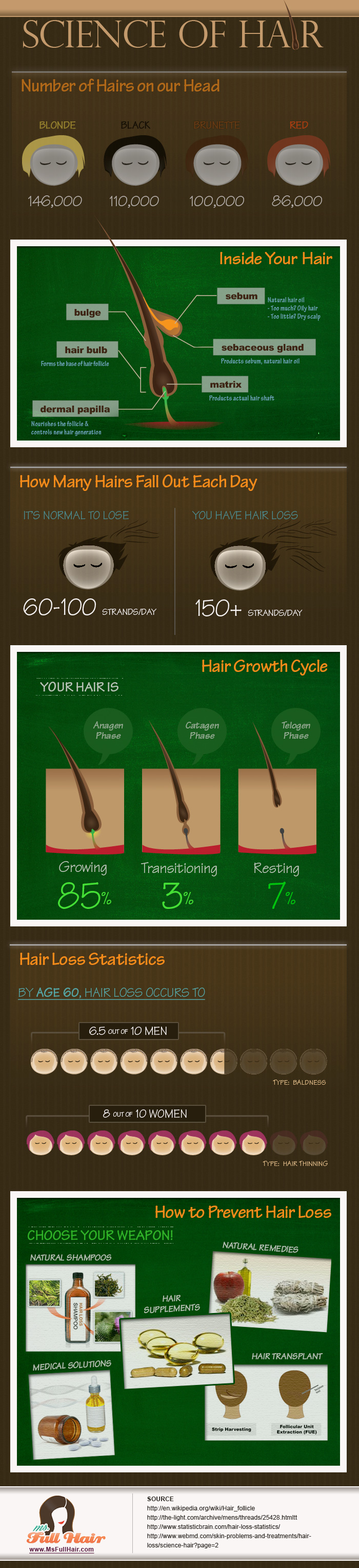infographic science of hair care