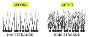 Before and After Using Hair Building Fibers