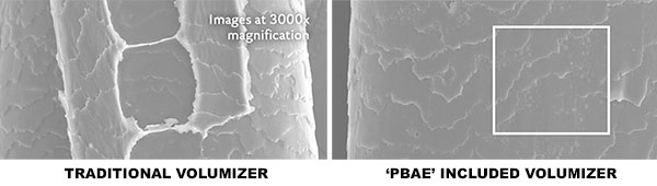 PBAE - Poly Beta Amino Ester-1