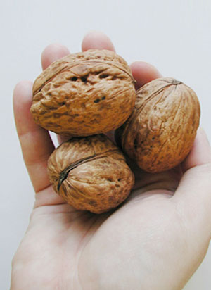 dr oz hair growth foods walnuts