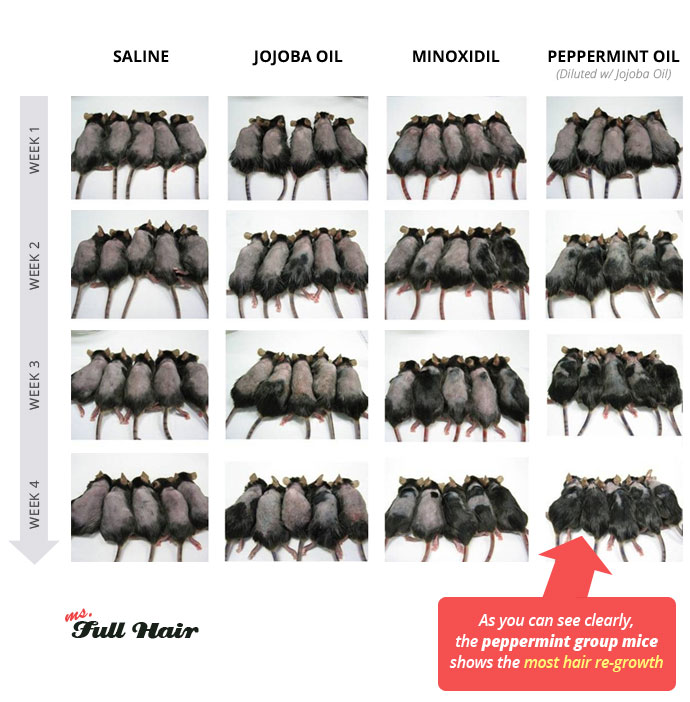 peppermint oil for hair growth before and after research chart