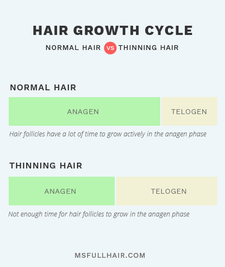 hair growth cycle normal hair vs thinning hair