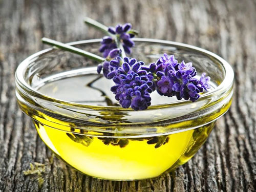 how to use lavender oil for hair growth and hair loss