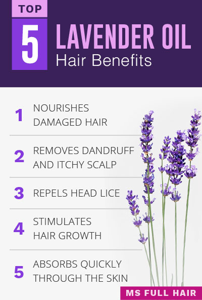 Lavender oil for hair growth benefits for hair and scalp