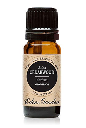 edens garden atlas cedarwood essential oil for hair loss