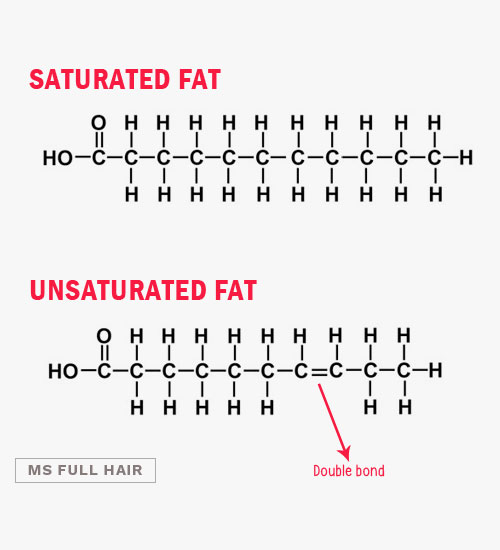 saturated fat vs unsaturated fat structure