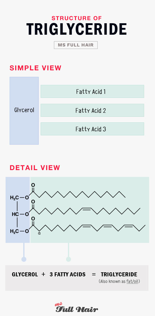 triglyceride structure image glycerol 3 fatty acids