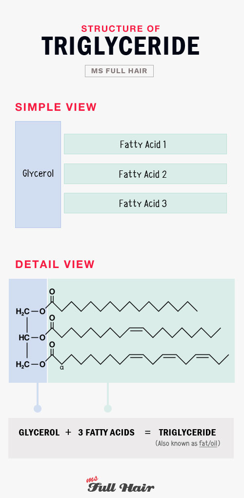 The Ultimate Guide Fatty Acids for Hair Growth