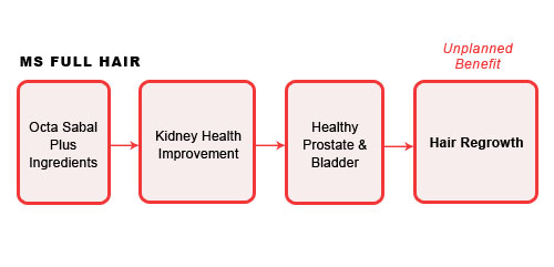 octa sabal plus supplement hair regrowth