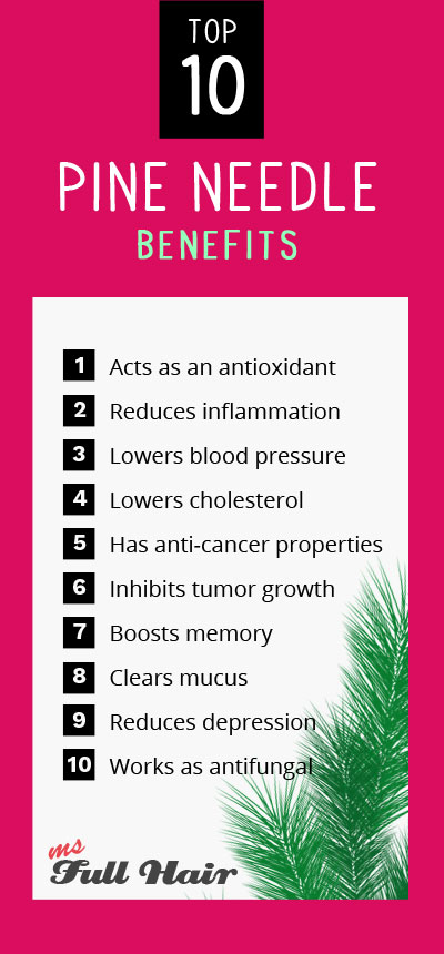 benefits of pine oil and pine needles