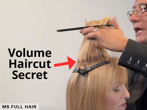 haircuts for volume in crown