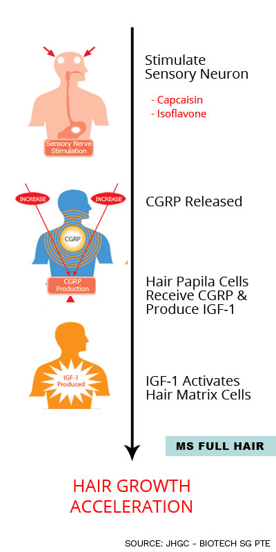 how to increase igf 1 for hair growth