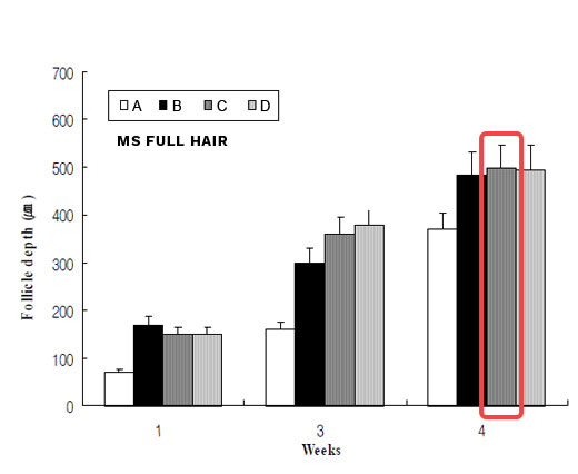 pine needle extract hair follicle depth