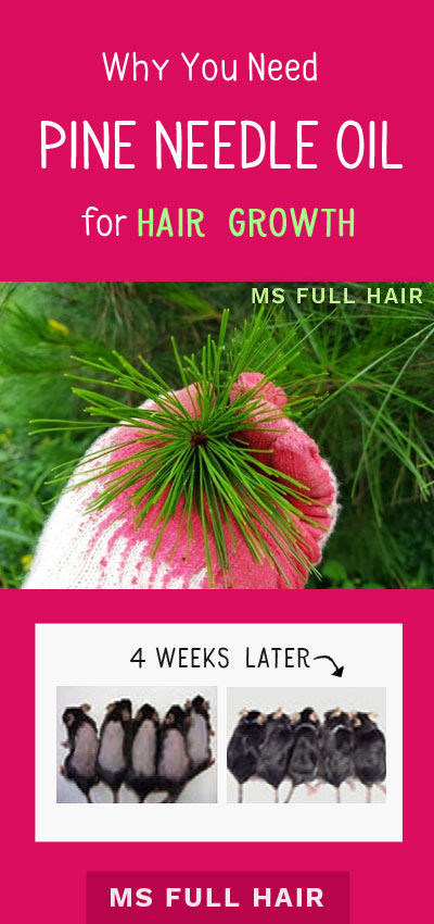 pine needle oil for hair growth